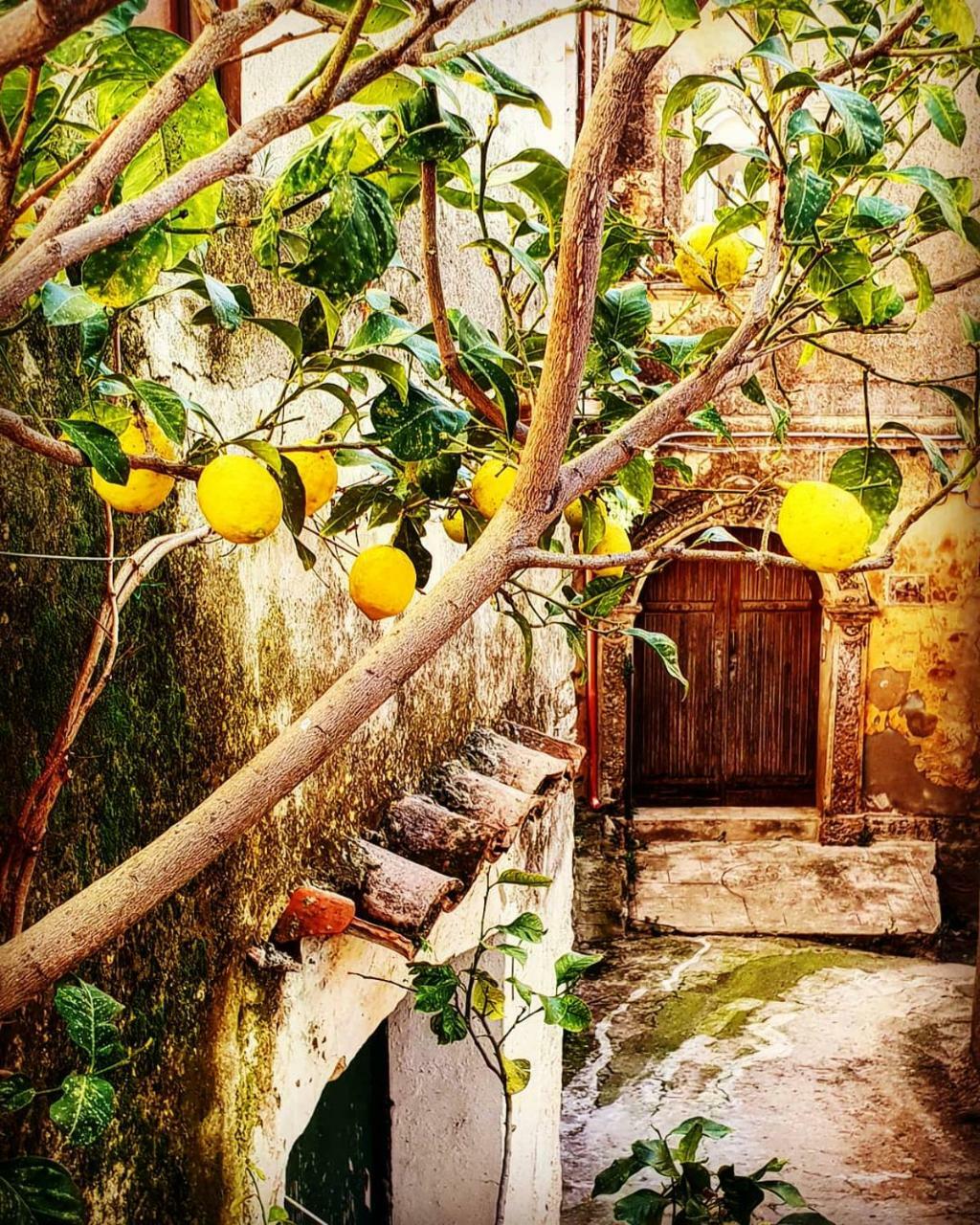 Bed and Breakfast Casa Mazzone à Ciro Extérieur photo